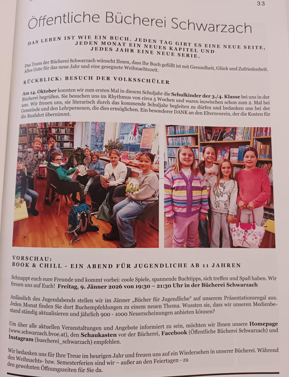 Bildsteinbericht 2026/1